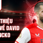 Giới thiệu chung về david hancko