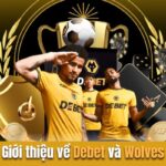 Giới thiệu về Debet và Wolves